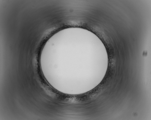 X0000101420688200808041128