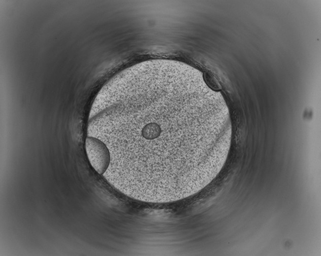 X0000101420689200808041128