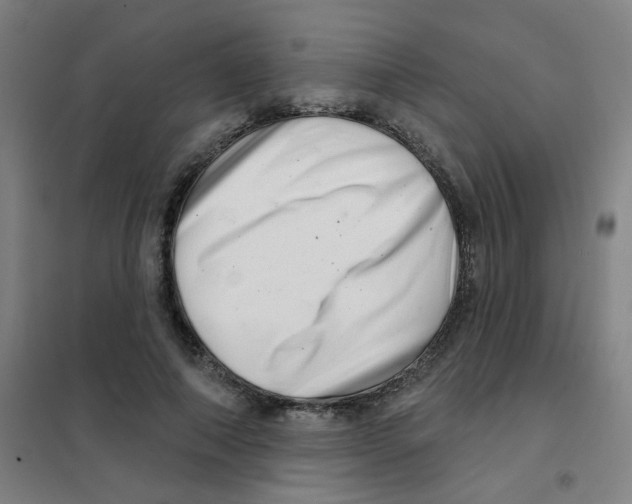 X0000101420690200808041128