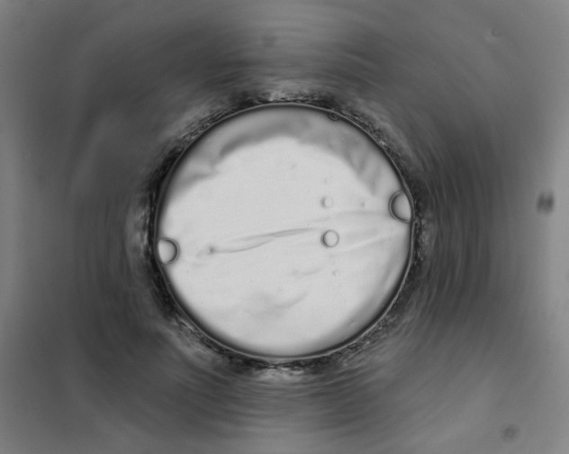 X0000101420691200808041128