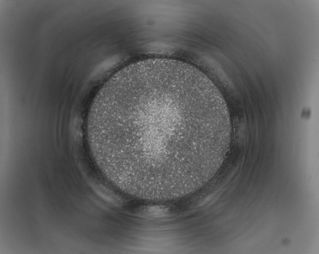 X0000101420692200808041128