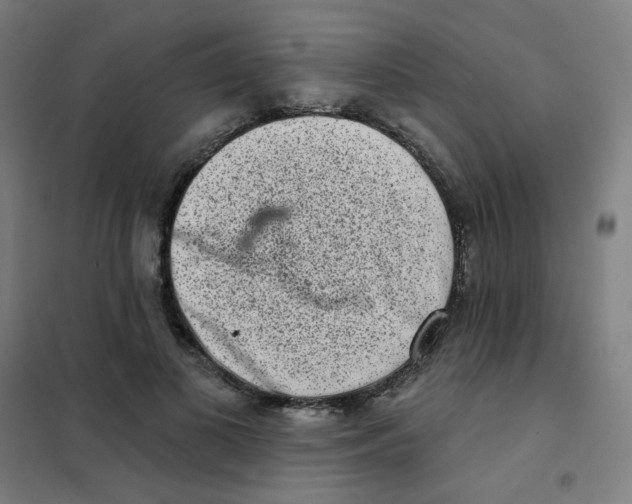 X0000101420693200808041128