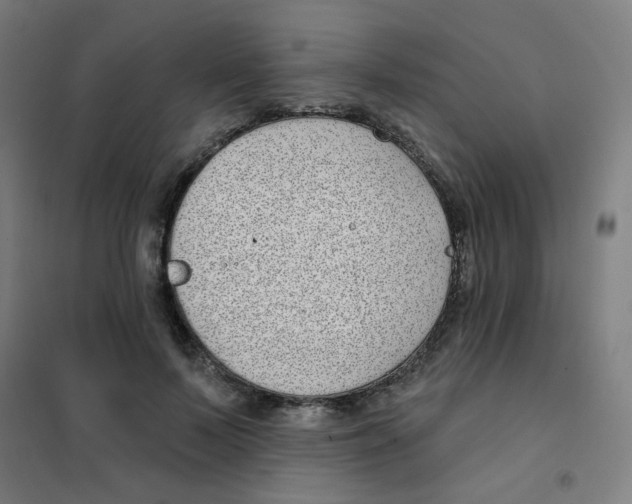 X0000101420695200808041128