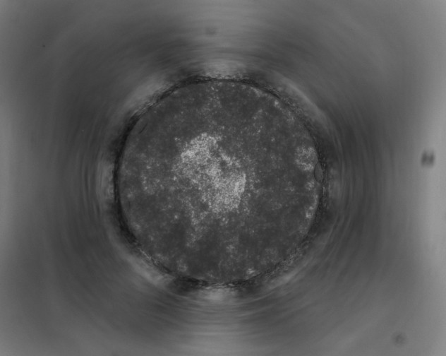 X0000101420696200808041128
