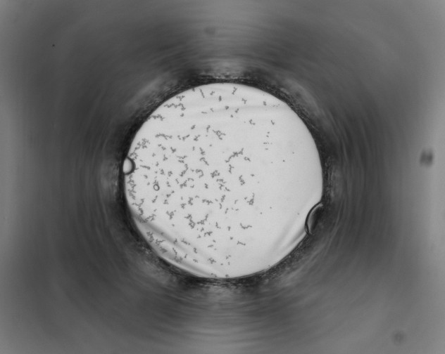 X0000101420697200808041128