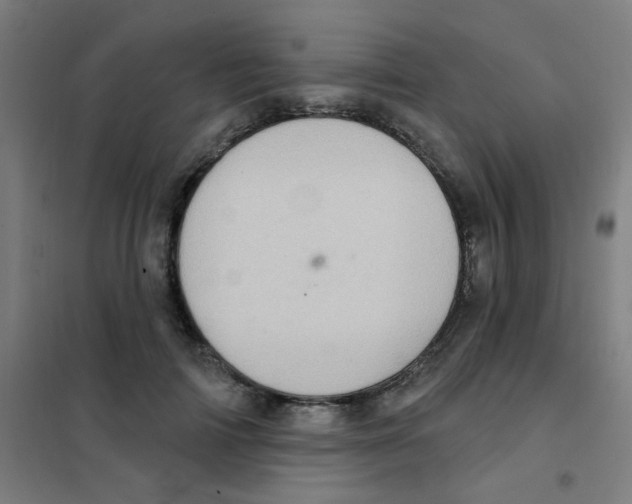 X0000101420698200808041128