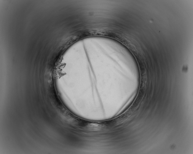 X0000101420699200808041128