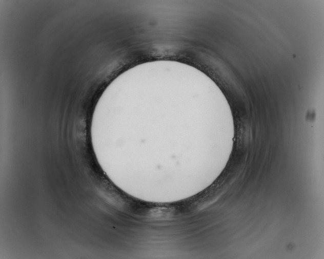 X0000101420700200808041128