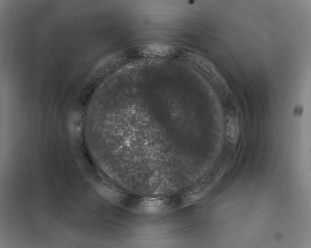 X0000101420701200808041128