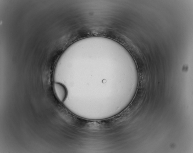 X0000101420703200808041128