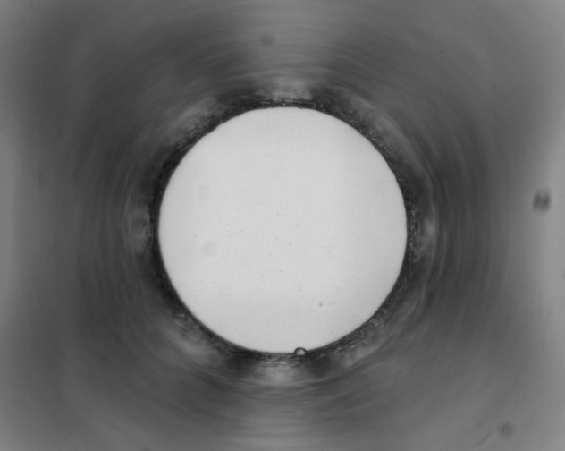 X0000101420704200808041128