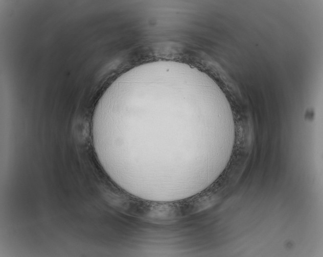 X0000101420705200808041128