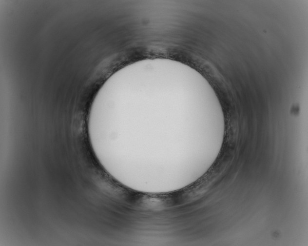 X0000101420706200808041128