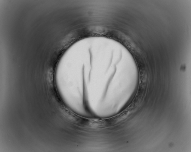 X0000101420707200808041128