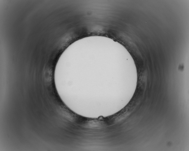 X0000101420708200808041128