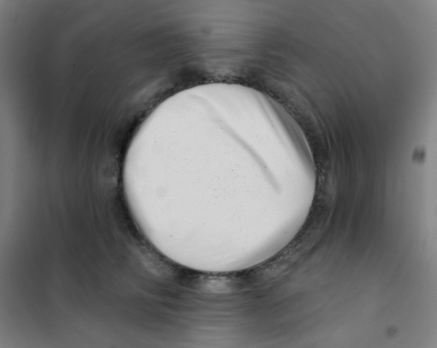 X0000101420710200808041128