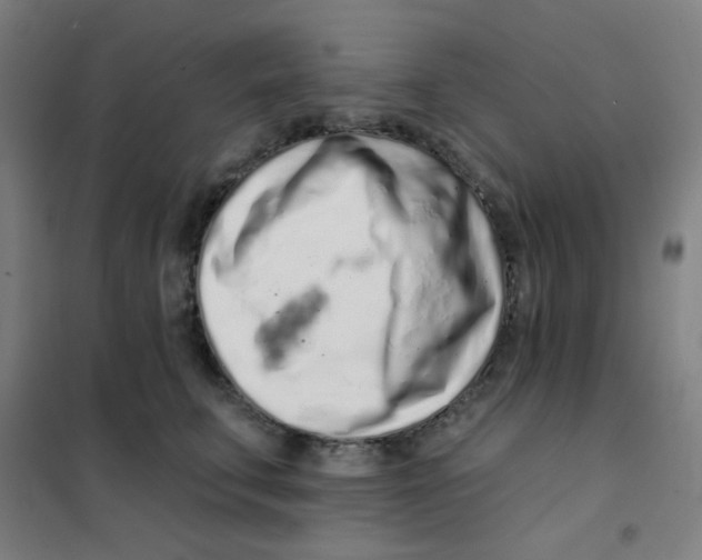 X0000101420711200808041128