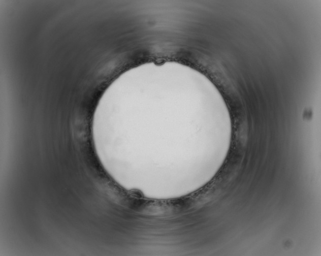 X0000101420712200808041128