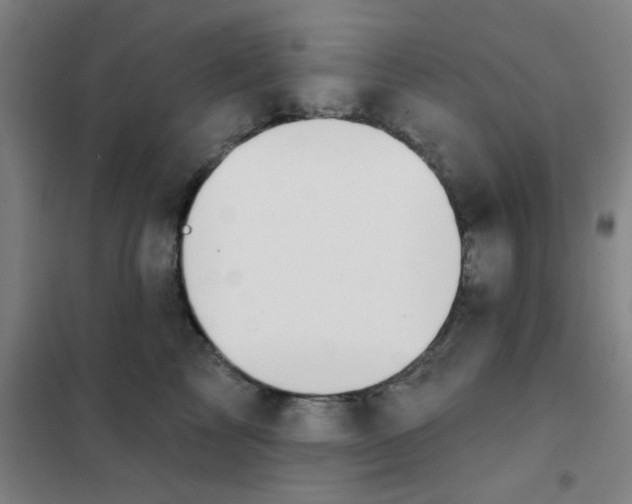 X0000101420713200808041128