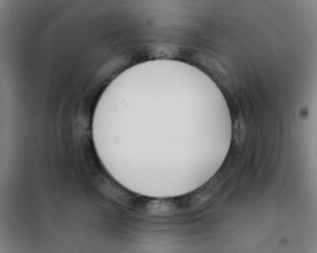 X0000101420714200808041128