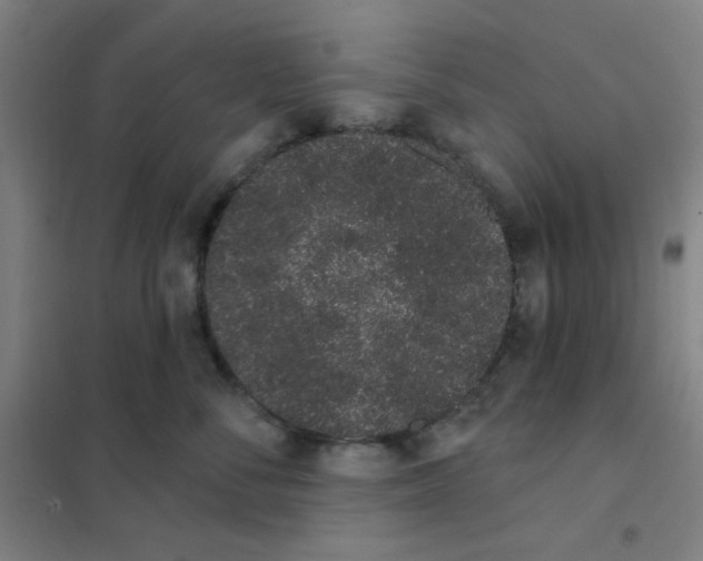 X0000101420716200808041128