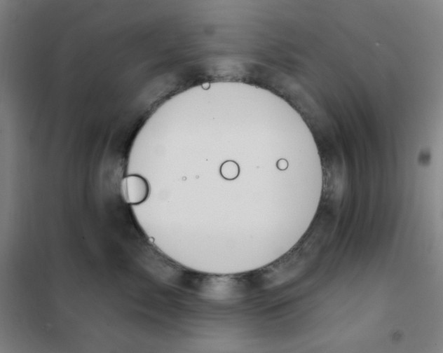 X0000101420717200808041128