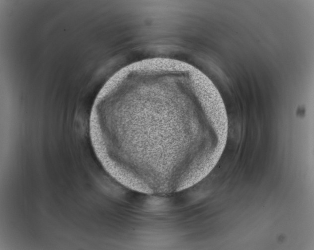 X0000101420718200808041128