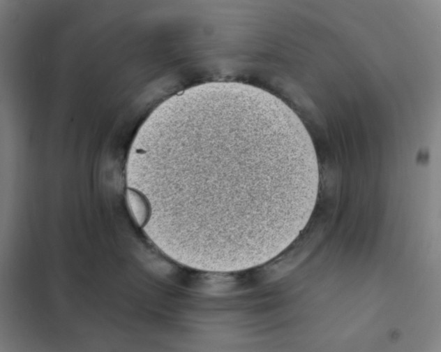X0000101420719200808041128