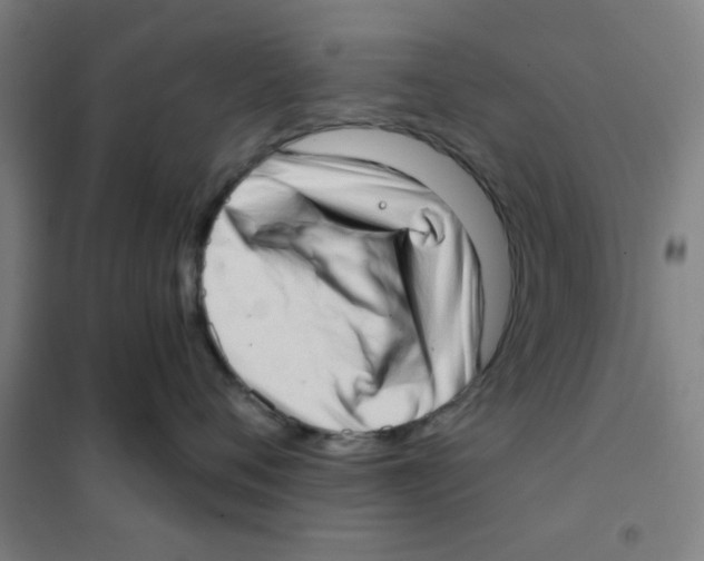 X0000101420720200808041128