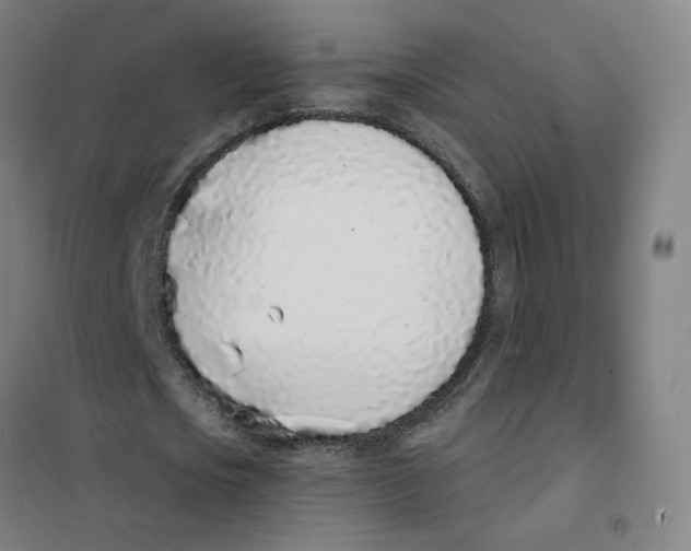 X0000101420721200808041127