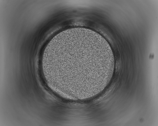 X0000101420722200808041127