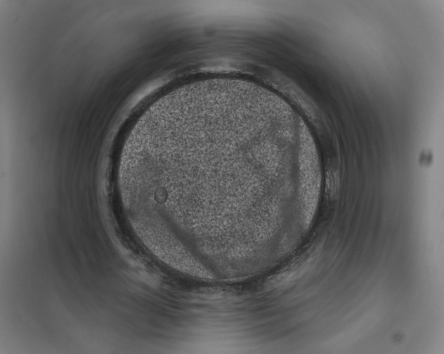 X0000101420724200808041127