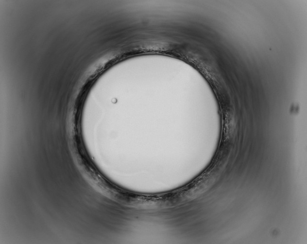 X0000101420726200808041127