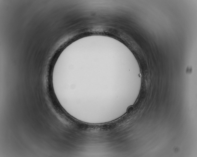 X0000101420728200808041127