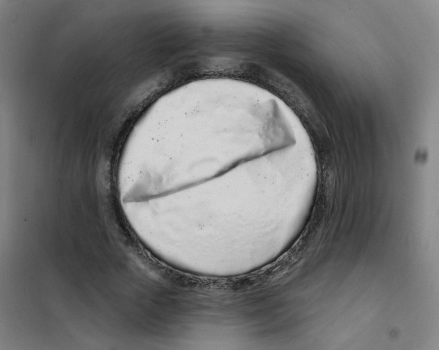 X0000101420729200808041127