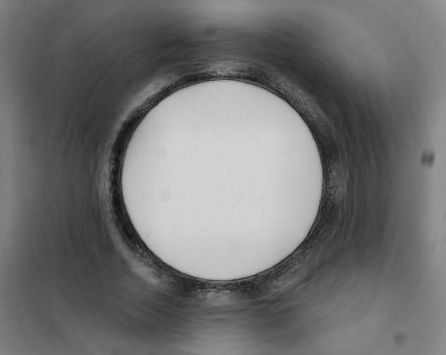 X0000101420730200808041127