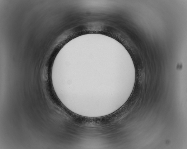 X0000101420731200808041127