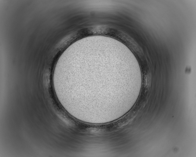 X0000101420733200808041127
