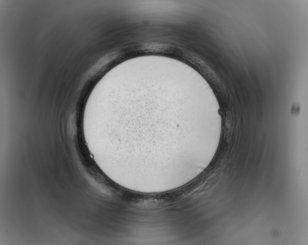 X0000101420734200808041127