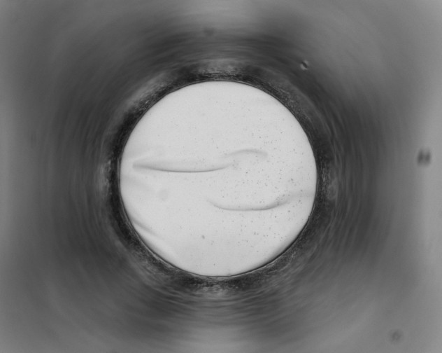 X0000101420735200808041127