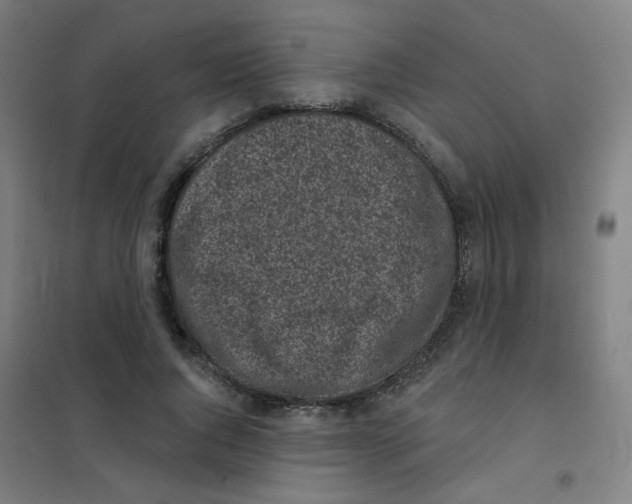 X0000101420736200808041127
