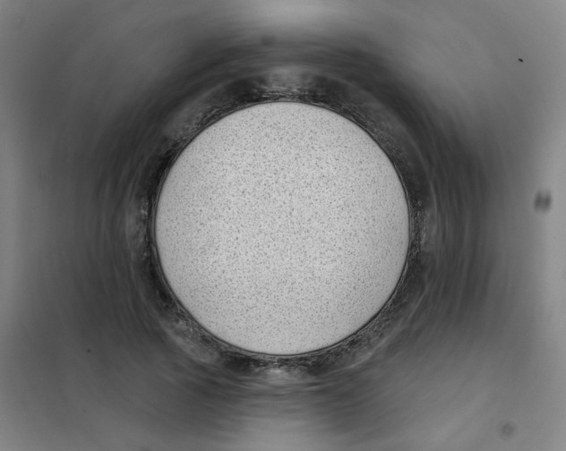 X0000101420737200808041127