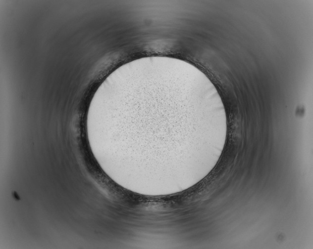 X0000101420738200808041127