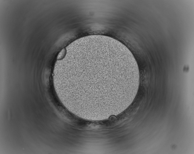 X0000101420742200808041127