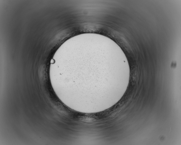 X0000101420743200808041127
