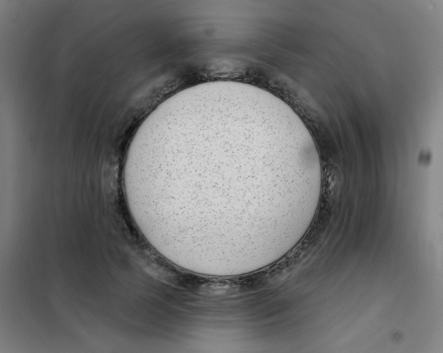 X0000101420745200808041127