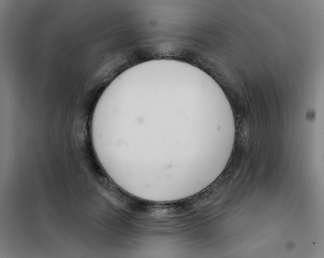 X0000101420746200808041127