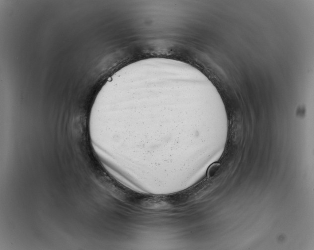 X0000101420747200808041127