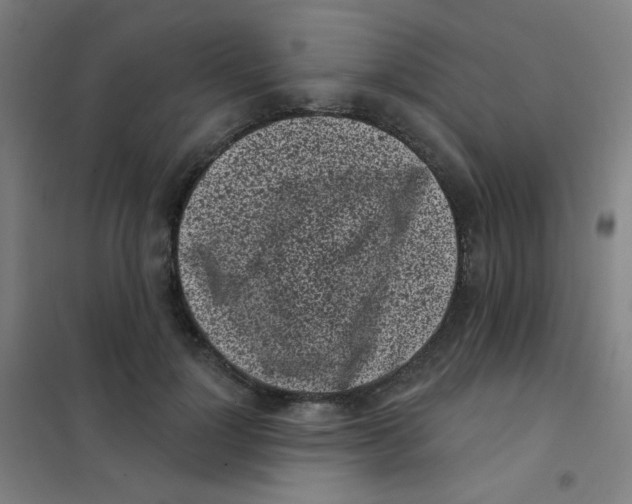 X0000101420748200808041127