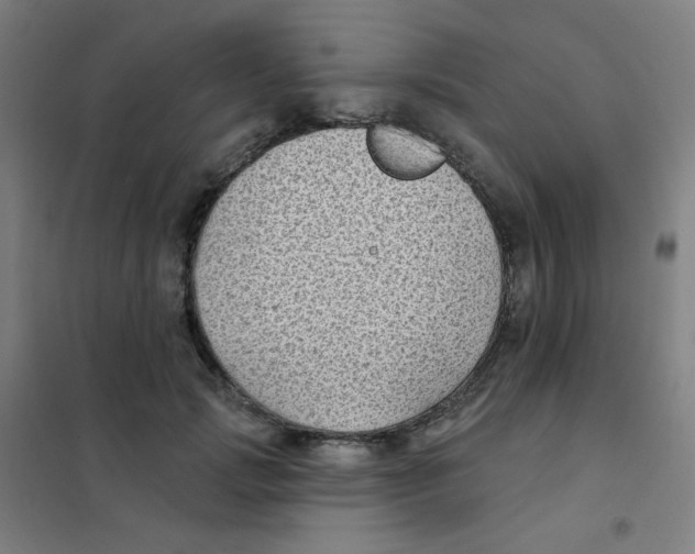 X0000101420749200808041127